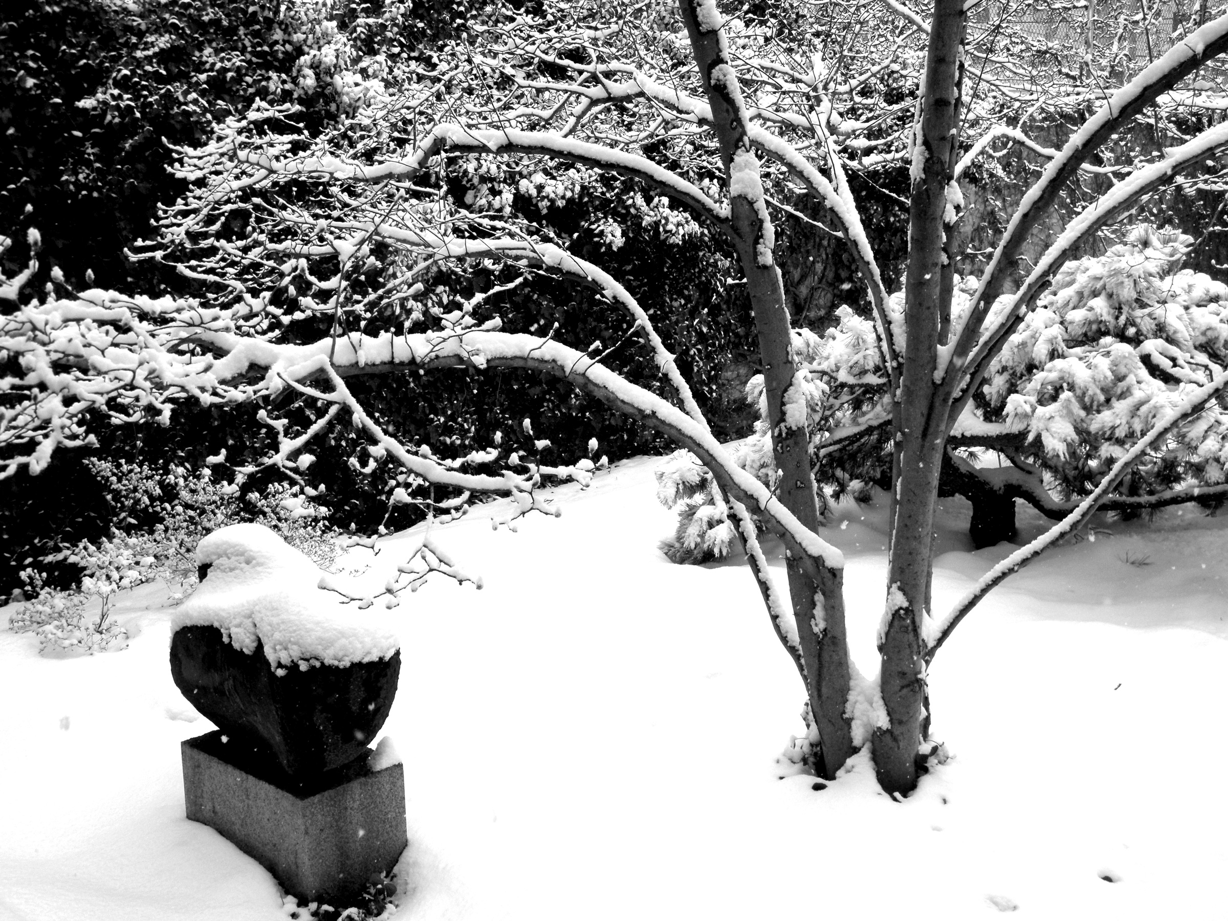 The Noguchi Museum garden in deep snow