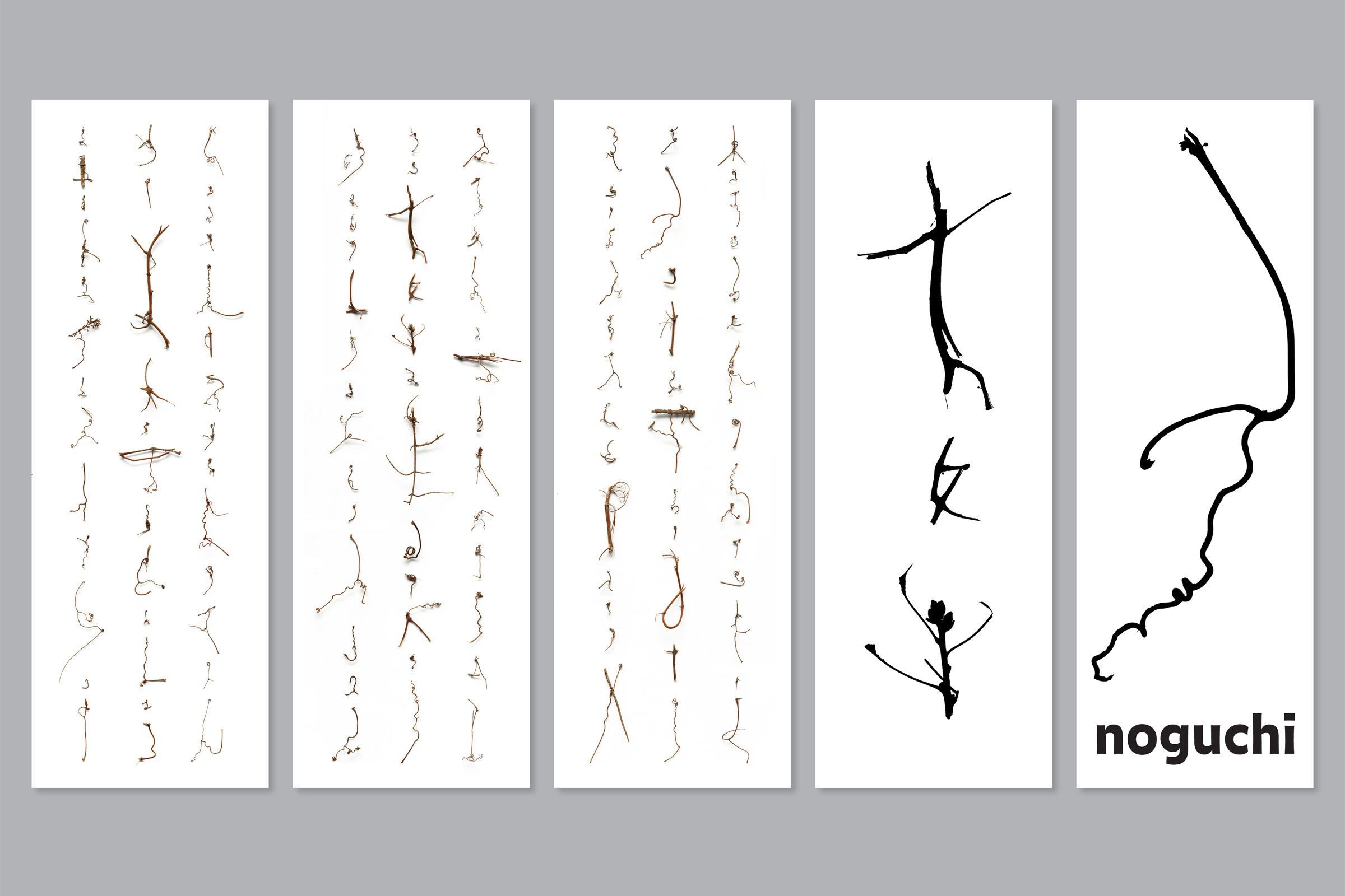 Cui Fei, Tracing the Origin